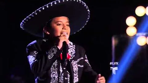 Canto a la Madre   (cover )... Jose  Ulloa ....