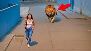 : La Nature Ne Pardonne Pas:  Animaux, Catastrophes et Frayeurs Capt'es par les Cam'eras