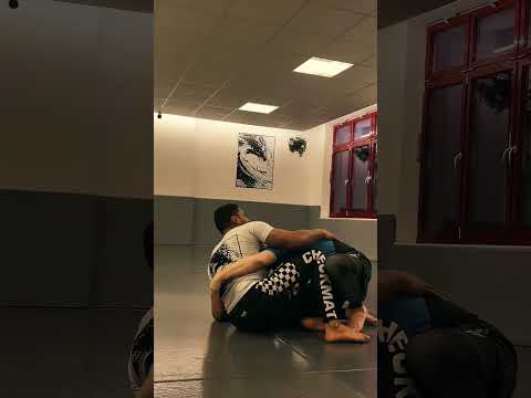 Nogi Training at BJJ DOJO Berlin