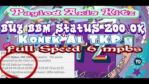 Paylod Axis Hitz Bug Bbm Status 200 OK Full Speed
