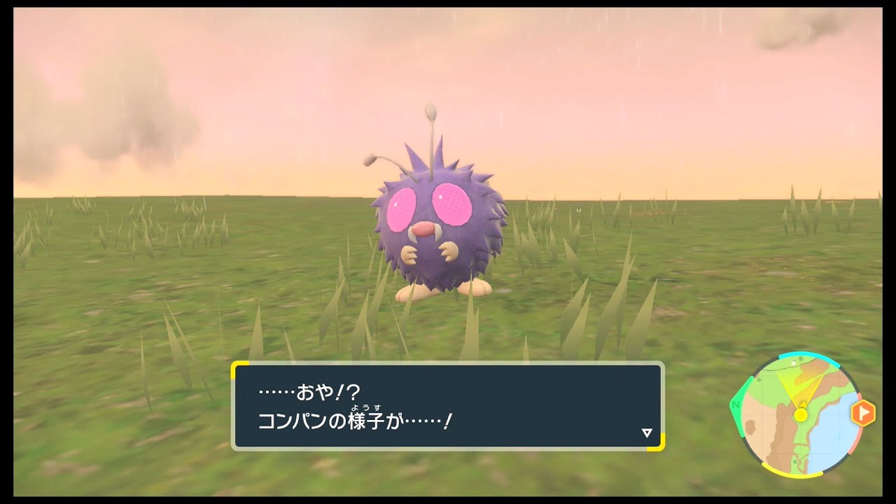 Svのポケモン コンパン レベル31で進化 Youtube Svのポケモン コンパン レベル31で進化 Youtube