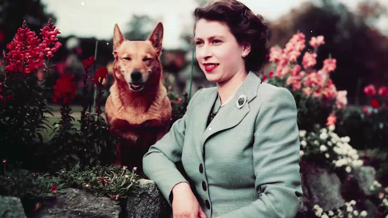 Rare Photos of Queen Elizabeth II from age 5 to 90