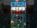 【知って得する】熱帯魚ショップの謎すぎる表記を徹底解説 #shorts #アクアリウム #水槽部屋 #水槽台 #熱帯魚 #aquarium #aquascape #水草 #メダカ