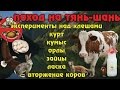 Поход на Тянь-Шань: Первые эдельвейсы. Часть 5