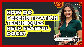 How Do Desensitization Techniques Help Fearful Dogs? - Obedient Dog Guide