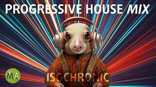 Peak Focus Beta Wave Isochronic Tones - Progressive House Armadillo Mix