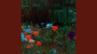 Alluring Backdrops for Content Experiences