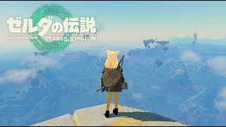 🔴未開封で1年寝かせたティアキン遊ぶぞ配信5【ゼルダの伝説 ティアーズオブザキングダム】