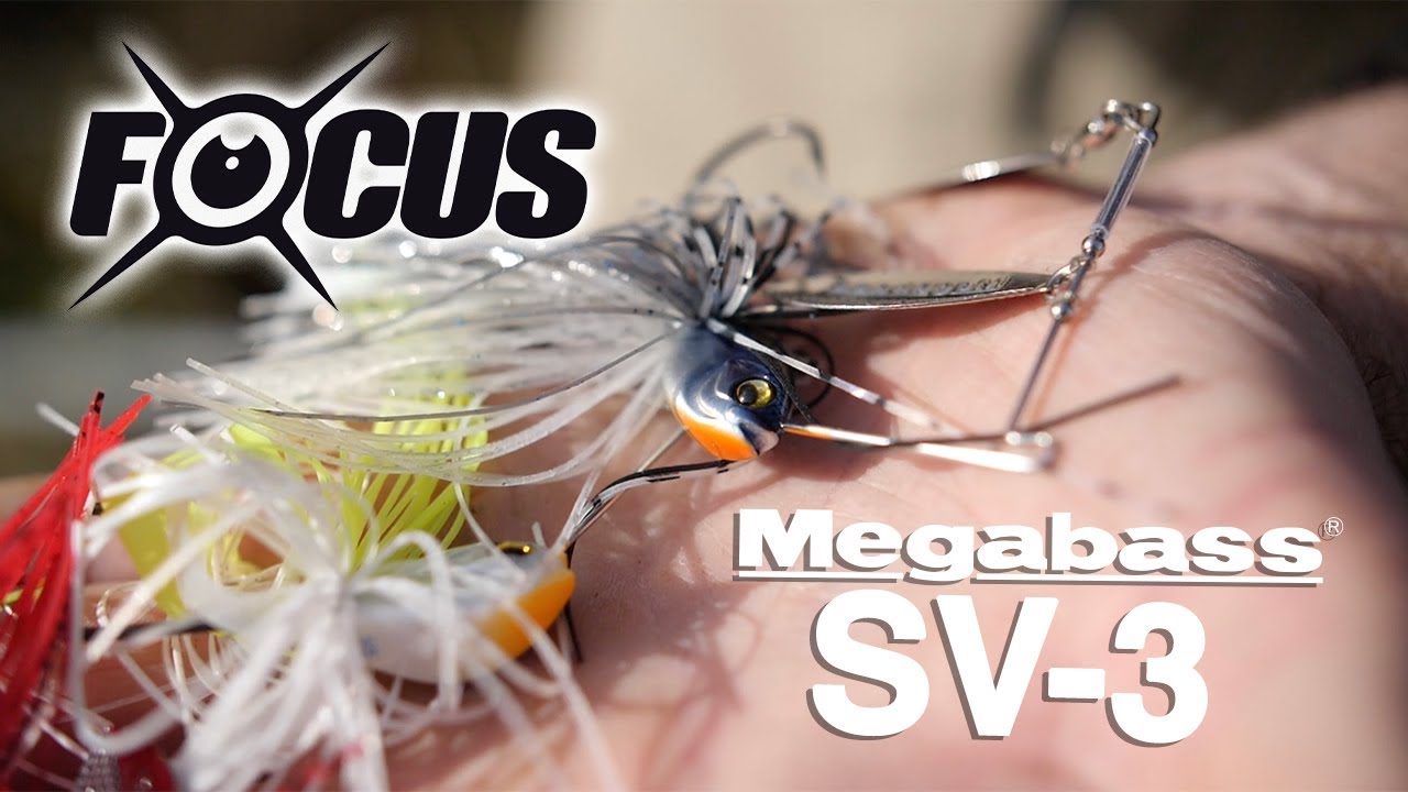 Vidéo : focus sur le spinnerbait Megabass SV-3