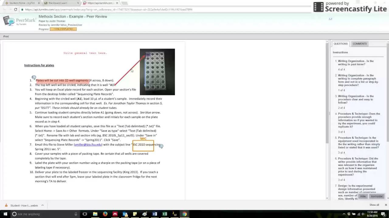 TA  Monitoring the peer review process