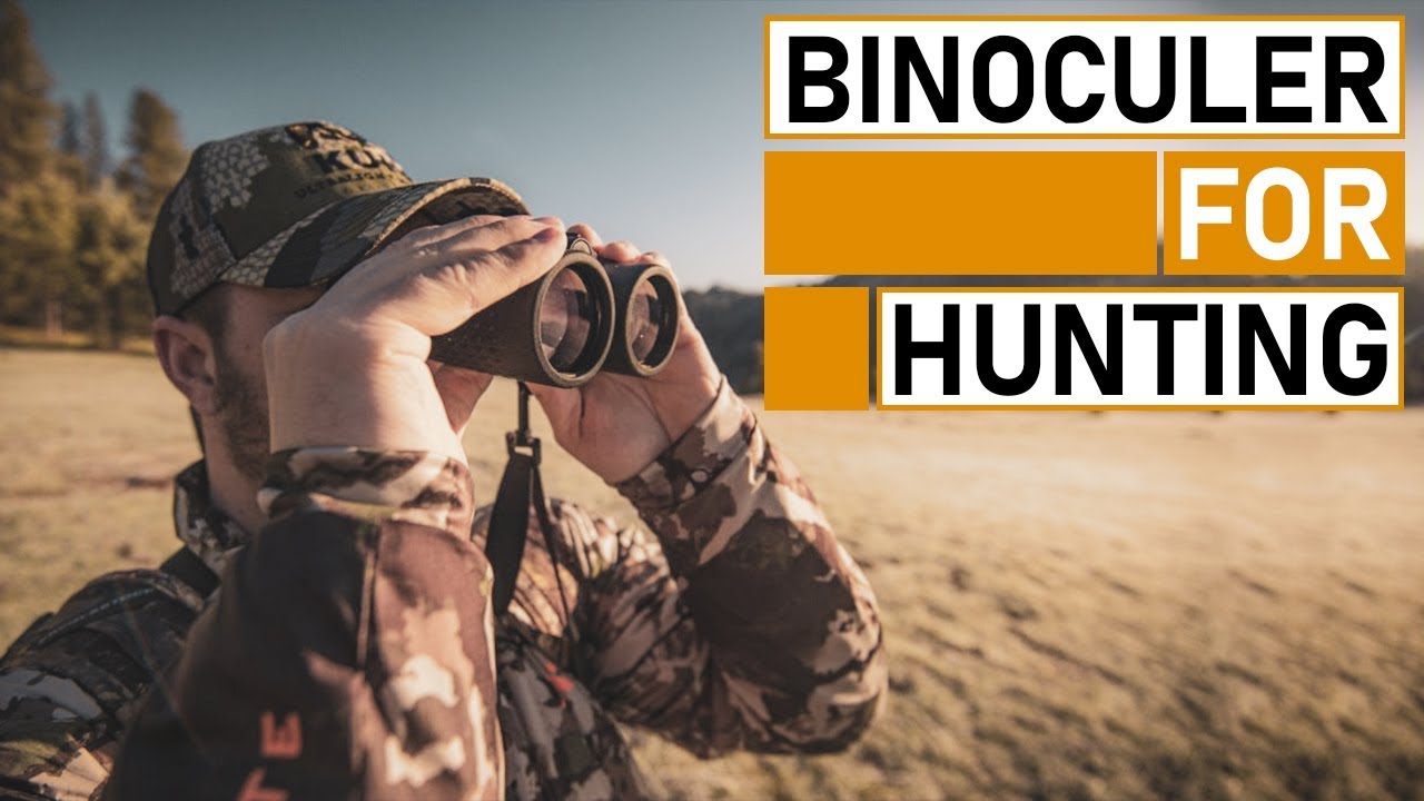 Top 7 Best Binoculars on the Market