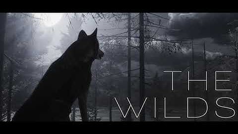 The WILDS: 1.2 Update (Early Access on Steam)