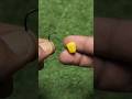How to Put Bait on a Hook #shorts #fishing
