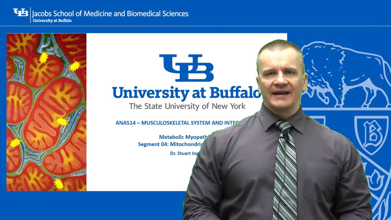 Metabolic Myopathies Segment 04   Mitochondrial Myopathies