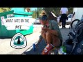 What I ate on the PCT | Meals | Resupply | Snacks