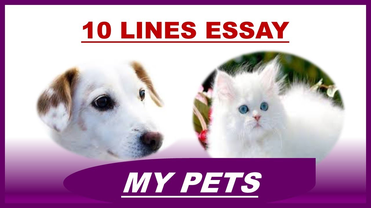 keeping pets essay