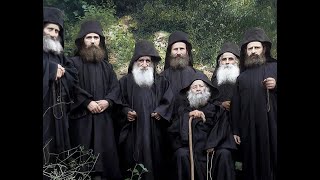 Интервью и мнение  афонских монахов об СВО на Украине