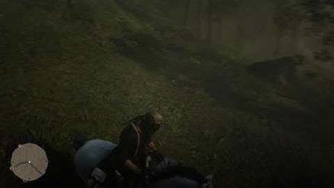 Red Dead Redemption 2 1v1 Against A Random