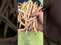 Thattaipayaru || தட்டைப்பயறு