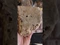 Small Skull