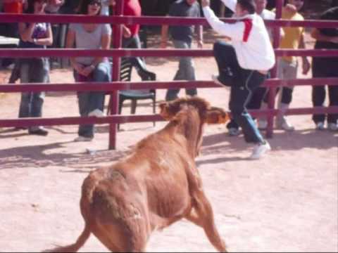 encierros de las fiestas palomares del campo 2009