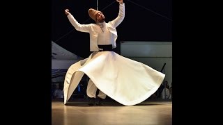 XXIV. Int. Fest. of Folklore \