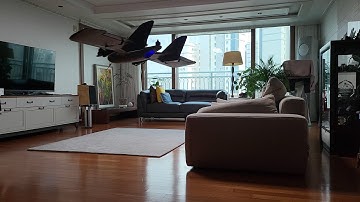 VTOL Xiake 800 flight in the living room