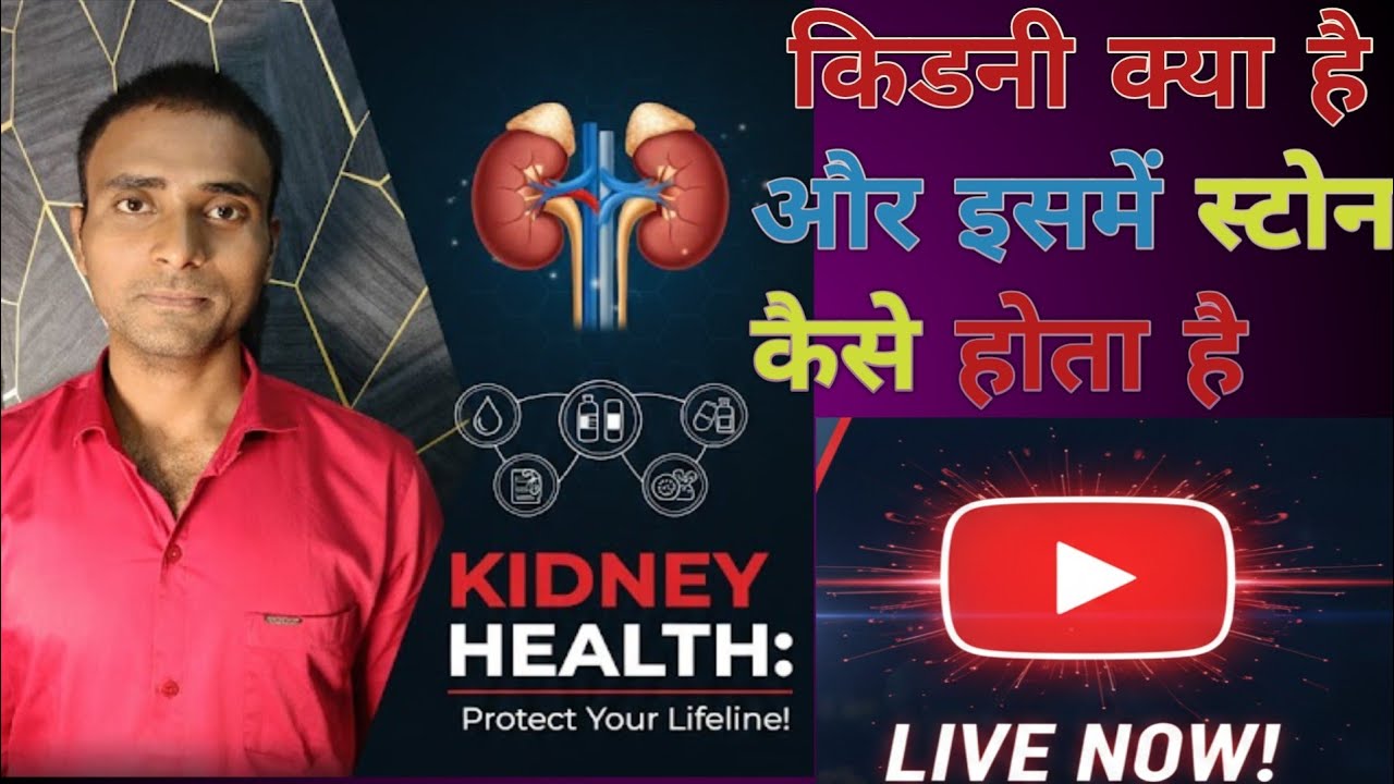 By SK Bihari,Human Kidney | Structure, Function & Diagram (Hindi)