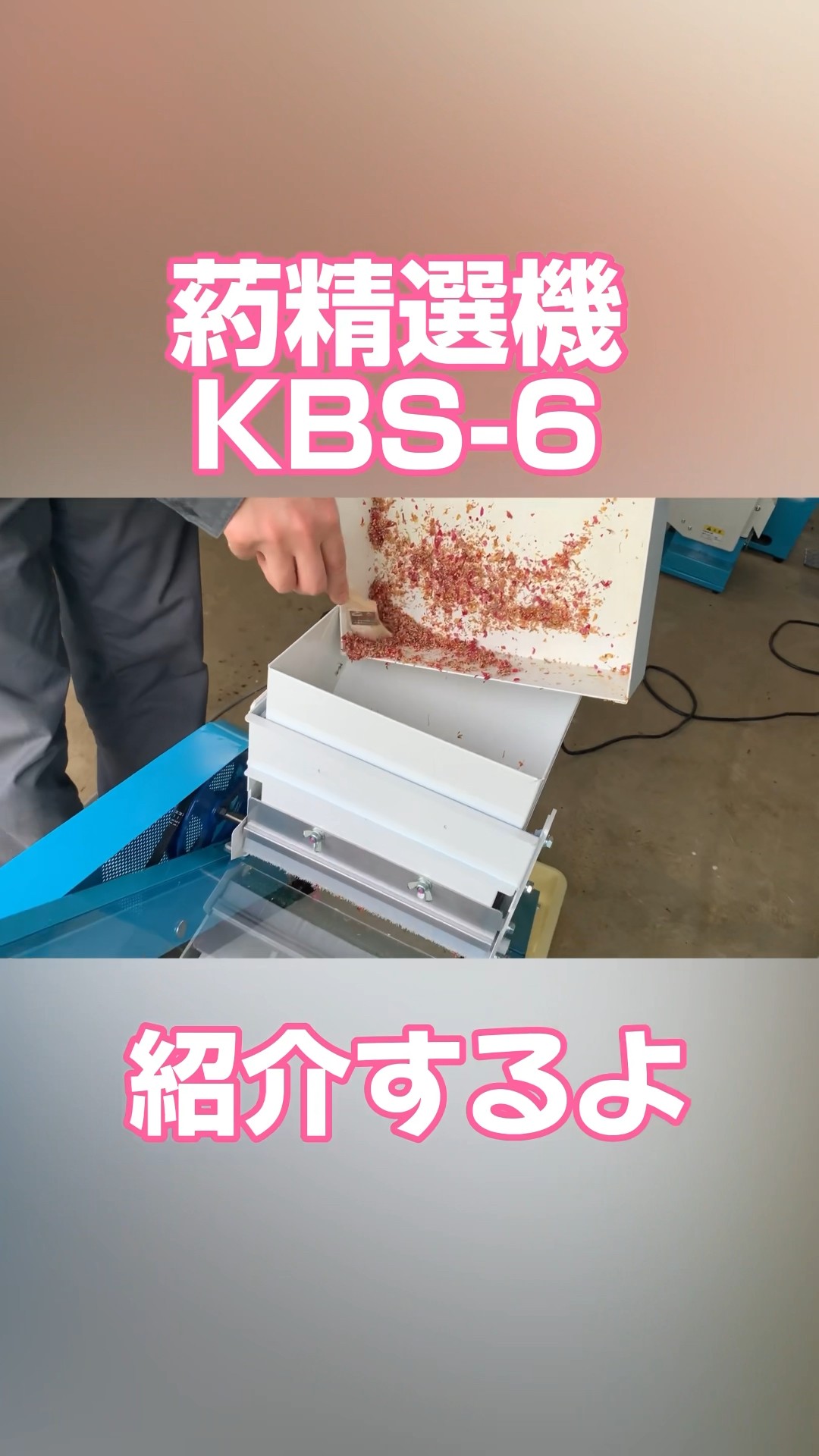 葯精選機KBS-6】#shorts #agriculture #pollen - YouTube