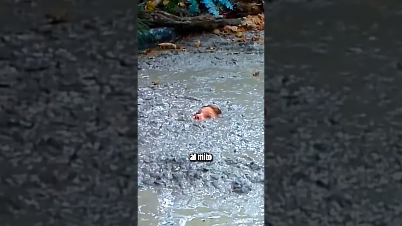 Quedar Atrapado en ARENAS MOVEDIZAS! #shorts #curiosidades