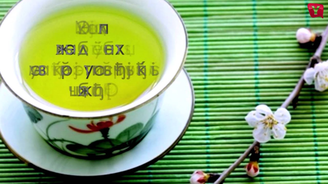 Yell TV Piter - Мастер-класс от PUERMAN