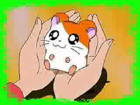 Cute Anime Animals - YouTube