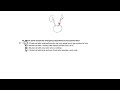 NCLEX Practice: Prioritization Video #2