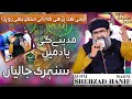 Madina madina  complete hazri  alhaj shehzad hanif madni  al nafees production