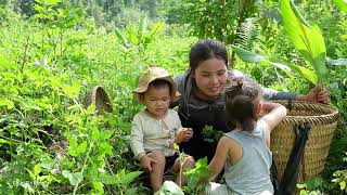 Download Lagu Ibu Tunggal Memanen Plum Asam dan Memasak Ikan Raksasa dengan Rasa Meledak MP3