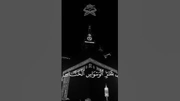 سورة الناس 🤍🤍🤍سعد الغامدي