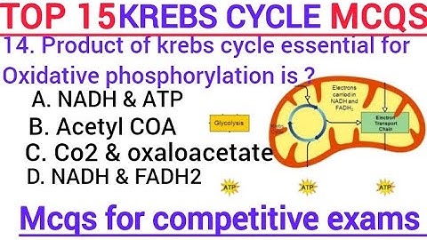 krebs cycle | krebs cycle mcqs for exams | citric acid cycle mcqs | biochemistry mcqs