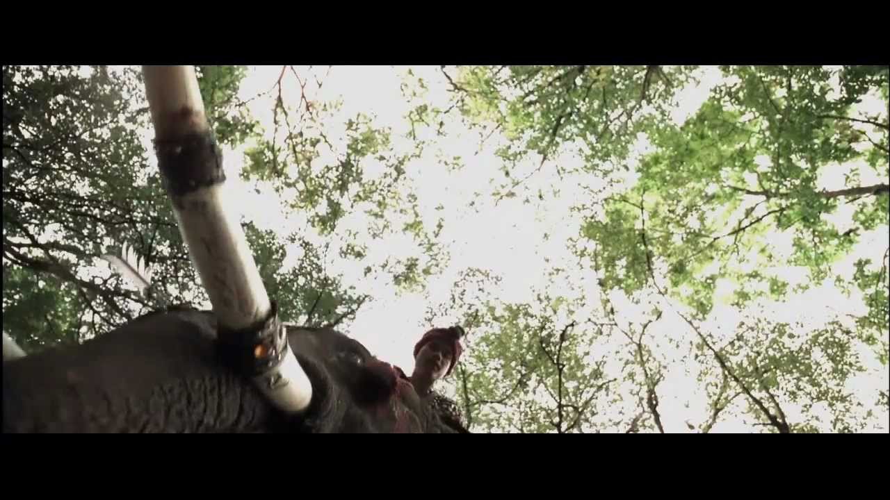 Alexander - Olifant - YouTube