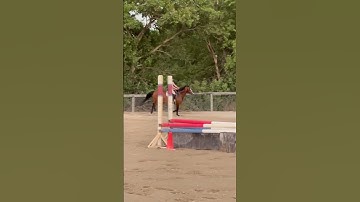 Do you count your strides out loud when you jump? It helps Emma regulate stride with Izzi. #horse
