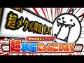 超水曜にゃんこDAYにゃー！！🎊🐾 #にゃんこ大戦争 #battlecats #貓咪大戰爭