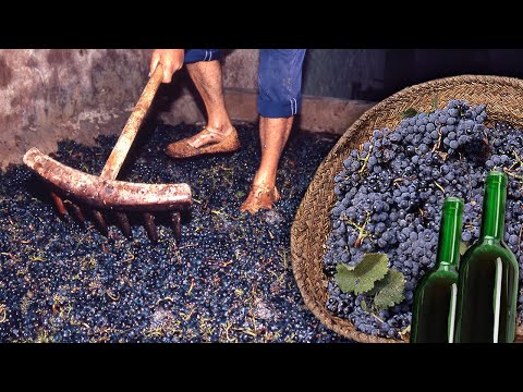 El vino artesanal. Elaboración tradicional a partir de las uvas | Oficios Perdidos | Documental