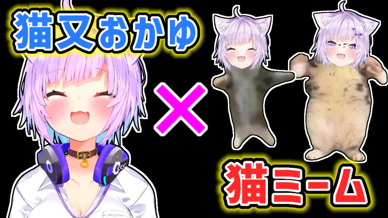 【猫又おかゆ】猫ミームで表現したい猫又おかゆの日常を話すおかゆ【ホロライブ切り抜き】