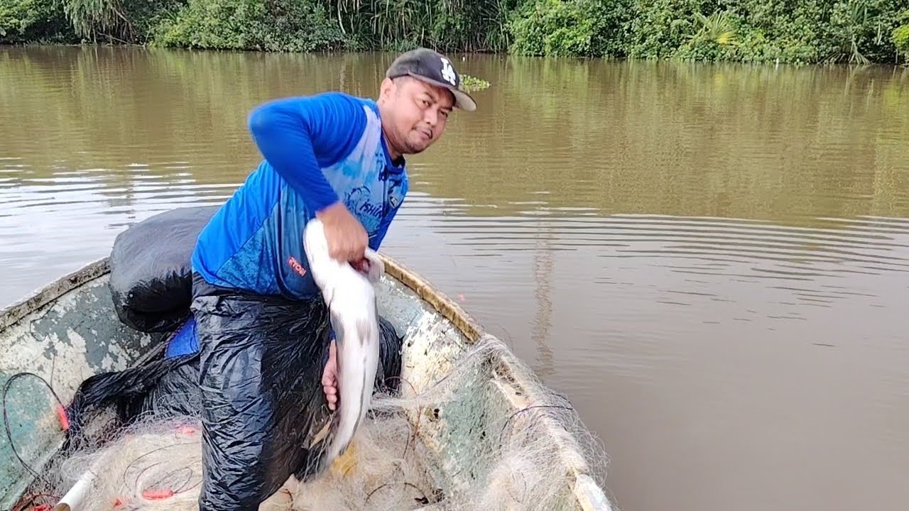 Rezeki hari ini, seerkor ikan bersaiz besar masuk pukat, 