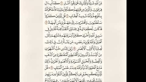 تلاوة مباركة للربع الأول من سورة آل عمران للشيخة /حنان العراقي حفظها الله 🌸