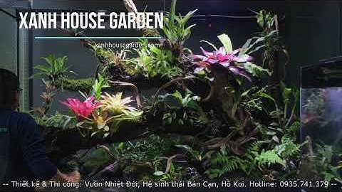 XANH HOUSE GARDEN - THIẾT KẾ THI CÔNG VƯỜN NHIỆT ĐỚI, HỒ BÁN CẠN, HỒ CÁ KOI TẠI ĐÀ NẴNG