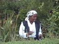 Nyakero Rahab~NINGUIHURIA TAWA(Official video)skiza 7195905