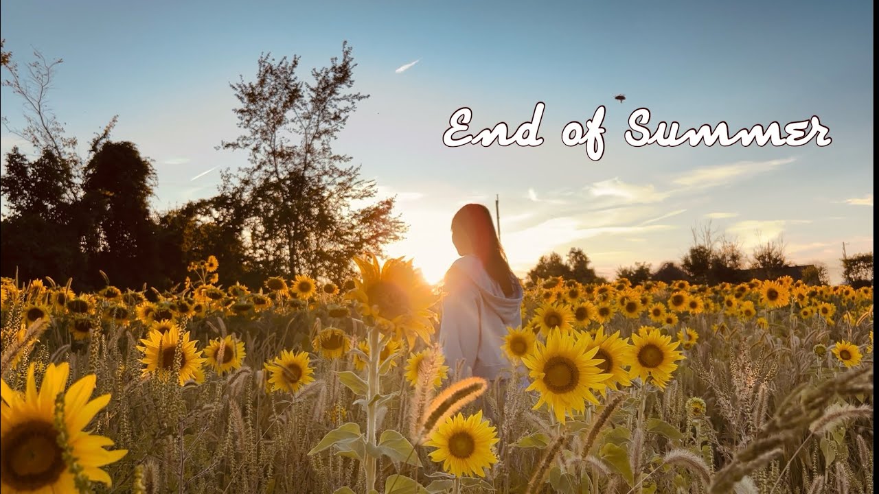 #01 A cozy life# Make natural food colouring at home # pickles for Fall/vivu123