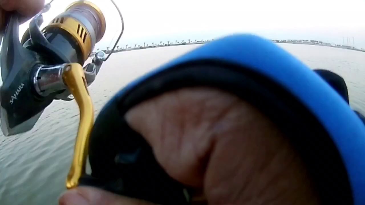 Dubai Festival City Casting - 