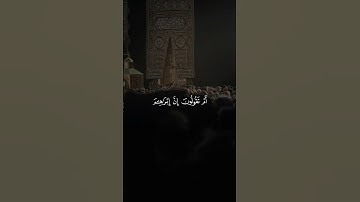 تلاوة من القرآن الكريم بصوت الشيخ علي جابر - رحمه الله | سورة البقرة من آية ١٤٠ إلى آية ١٤١ |