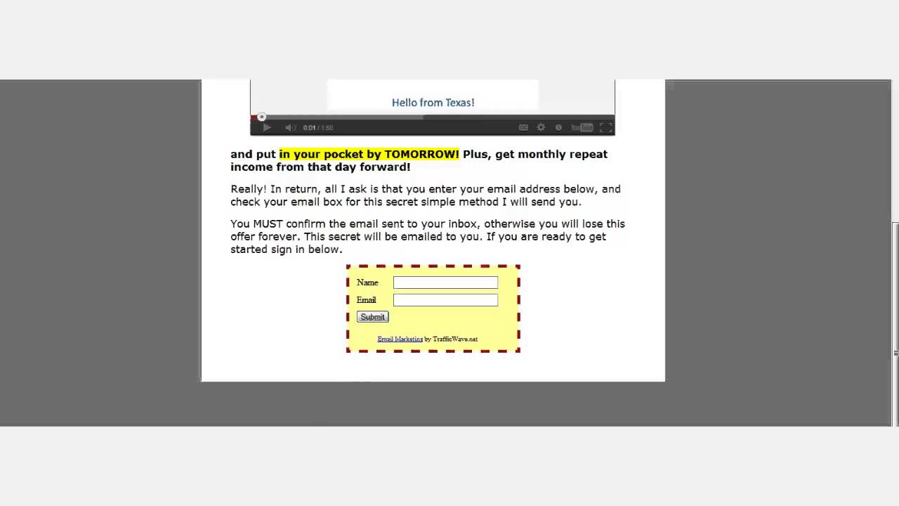 Traffic Wave - Lead Capture Page Preview - What To Edit